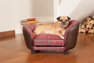 Illustration for article titled How You Can Select The Perfect Pet Bed For Your Family pet